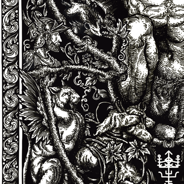 S.T.N – Image 2