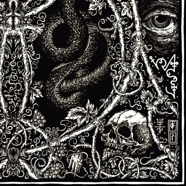 S.T.R.K – Image 2