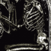 T.V.L.D.R.L.V.R.S – Image 3